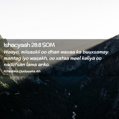 Picture 02 - Ishacyaah 28:8 SOM - Waayo, miisaskii oo dhan waxaa ka buuxsamay - Bible Verse Picture