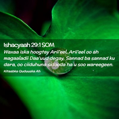Picture 02 - Ishacyaah 29:1 SOM - Waxaa iska hoogtay Arii'eel, Arii'eel oo ah - Bible Verse Picture