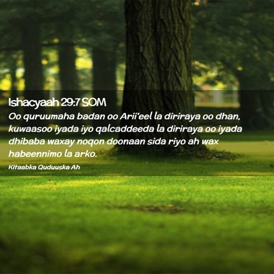 Picture 02 - Ishacyaah 29:7 SOM - Oo quruumaha badan oo Arii'eel la diriraya oo - Bible Verse Picture