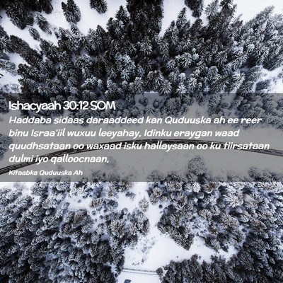Picture 02 - Ishacyaah 30:12 SOM - Haddaba sidaas daraaddeed kan Quduuska ah ee reer - Bible Verse Picture