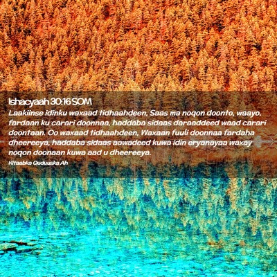 Picture 02 - Ishacyaah 30:16 SOM - Laakiinse idinku waxaad tidhaahdeen, Saas ma - Bible Verse Picture