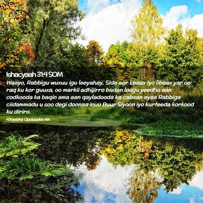 Picture 02 - Ishacyaah 31:4 SOM - Waayo, Rabbigu wuxuu igu leeyahay, Sida aar - Bible Verse Picture