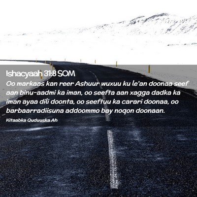 Picture 02 - Ishacyaah 31:8 SOM - Oo markaas kan reer Ashuur wuxuu ku le'an doonaa - Bible Verse Picture