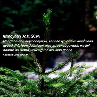 Picture 02 - Ishacyaah 32:10 SOM - Naagaha aan digtoonaynow, sannad iyo dhawr - Bible Verse Picture