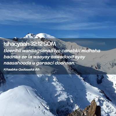 Picture 02 - Ishacyaah 32:12 SOM - Beerihii wanaagsanaa iyo canabkii midhaha badnaa - Bible Verse Picture
