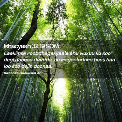 Picture 02 - Ishacyaah 32:19 SOM - Laakiinse roobdhagaxyaale ahu wuxuu ku soo degi - Bible Verse Picture