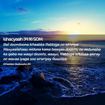 Picture 02 - Ishacyaah 34:16 SOM - Bal doondoona kitaabka Rabbiga oo akhriya. - Bible Verse Picture