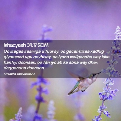 Picture 02 - Ishacyaah 34:17 SOM - Oo isagaa saamiga u tuuray, oo gacantiisaa xadhig - Bible Verse Picture