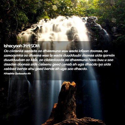 Picture 02 - Ishacyaah 34:4 SOM - Oo ciidanka samada oo dhammuna wuu wada idlaan - Bible Verse Picture