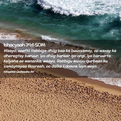 Picture 02 - Ishacyaah 34:6 SOM - Waayo, seeftii Rabbiga dhiig baa ka buuxsamay, oo - Bible Verse Picture