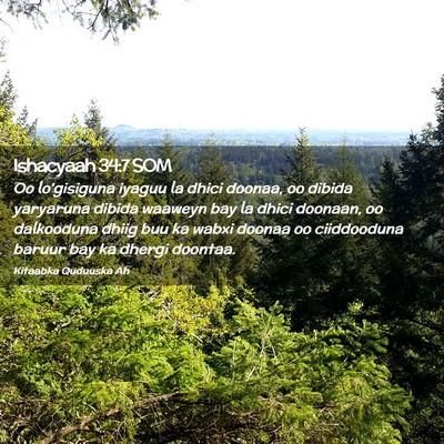 Picture 02 - Ishacyaah 34:7 SOM - Oo lo'gisiguna iyaguu la dhici doonaa, oo dibida - Bible Verse Picture