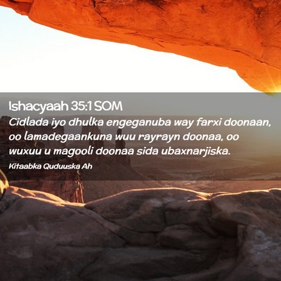 Picture 02 - Ishacyaah 35:1 SOM - Cidlada iyo dhulka engeganuba way farxi doonaan, - Bible Verse Picture