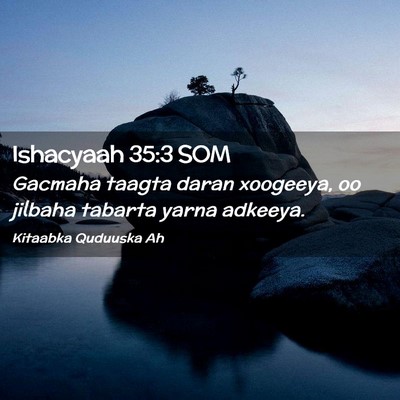 Picture 02 - Ishacyaah 35:3 SOM - Gacmaha taagta daran xoogeeya, oo jilbaha tabarta - Bible Verse Picture