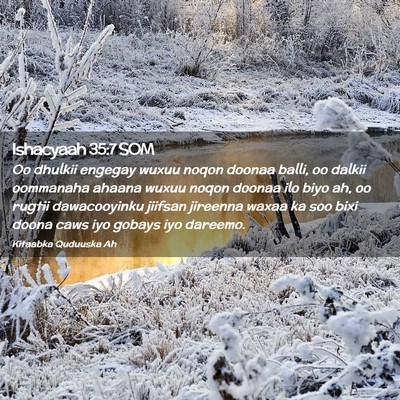 Picture 02 - Ishacyaah 35:7 SOM - Oo dhulkii engegay wuxuu noqon doonaa balli, oo - Bible Verse Picture
