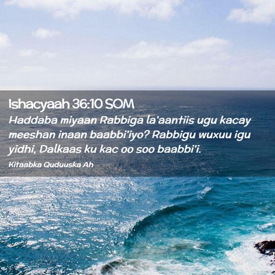 Picture 02 - Ishacyaah 36:10 SOM - Haddaba miyaan Rabbiga la'aantiis ugu kacay - Bible Verse Picture