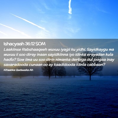 Picture 02 - Ishacyaah 36:12 SOM - Laakiinse Rabshaaqeeh wuxuu iyagii ku yidhi, - Bible Verse Picture