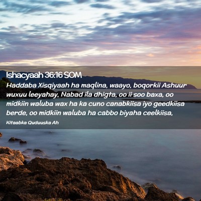 Picture 02 - Ishacyaah 36:16 SOM - Haddaba Xisqiyaah ha maqlina, waayo, boqorkii - Bible Verse Picture