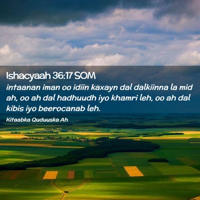 Picture 02 - Ishacyaah 36:17 SOM - intaanan iman oo idiin kaxayn dal dalkiinna la - Bible Verse Picture