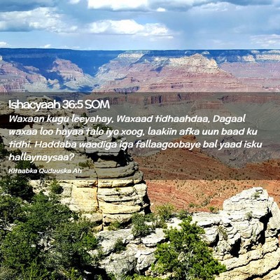 Picture 02 - Ishacyaah 36:5 SOM - Waxaan kugu leeyahay, Waxaad tidhaahdaa, Dagaal - Bible Verse Picture