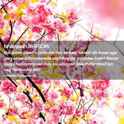 Picture 02 - Ishacyaah 36:9 SOM - Bal sidee baad u celin kartaa sirkaal ka mid ah - Bible Verse Picture