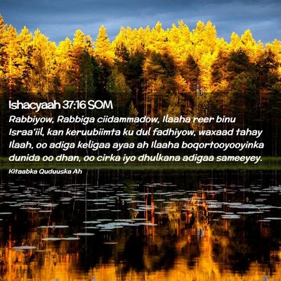 Picture 02 - Ishacyaah 37:16 SOM - Rabbiyow, Rabbiga ciidammadow, Ilaaha reer binu - Bible Verse Picture