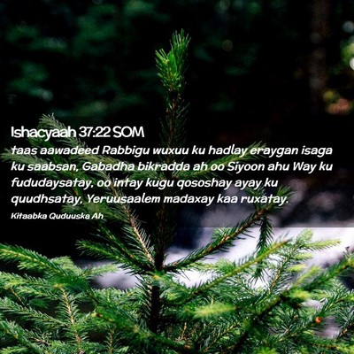 Picture 02 - Ishacyaah 37:22 SOM - taas aawadeed Rabbigu wuxuu ku hadlay eraygan - Bible Verse Picture