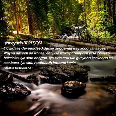 Picture 02 - Ishacyaah 37:27 SOM - Oo sidaas daraaddeed dadkii degganaa way xoog - Bible Verse Picture