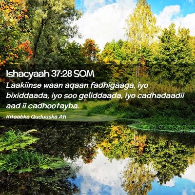 Picture 02 - Ishacyaah 37:28 SOM - Laakiinse waan aqaan fadhigaaga, iyo bixiddaada, - Bible Verse Picture