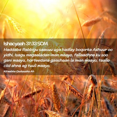 Picture 02 - Ishacyaah 37:33 SOM - Haddaba Rabbigu saasuu uga hadlay boqorka Ashuur - Bible Verse Picture