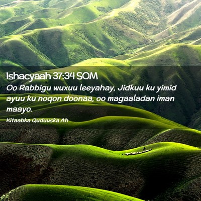 Picture 02 - Ishacyaah 37:34 SOM - Oo Rabbigu wuxuu leeyahay, Jidkuu ku yimid ayuu - Bible Verse Picture