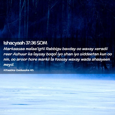 Picture 02 - Ishacyaah 37:36 SOM - Markaasaa malaa'igtii Rabbigu baxday oo waxay - Bible Verse Picture