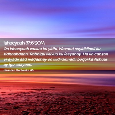 Picture 02 - Ishacyaah 37:6 SOM - Oo Ishacyaah wuxuu ku yidhi, Waxaad sayidkiinnii - Bible Verse Picture