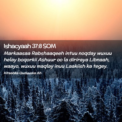 Picture 02 - Ishacyaah 37:8 SOM - Markaasaa Rabshaaqeeh intuu noqday wuxuu helay - Bible Verse Picture