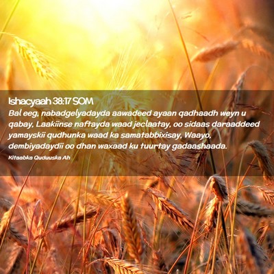 Picture 02 - Ishacyaah 38:17 SOM - Bal eeg, nabadgelyadayda aawadeed ayaan qadhaadh - Bible Verse Picture