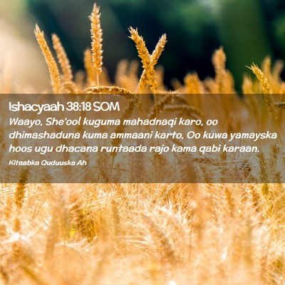 Picture 02 - Ishacyaah 38:18 SOM - Waayo, She'ool kuguma mahadnaqi karo, oo - Bible Verse Picture