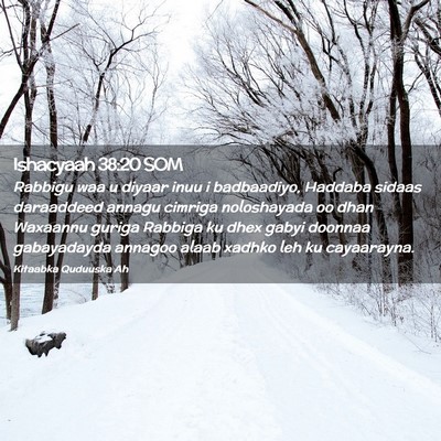 Picture 02 - Ishacyaah 38:20 SOM - Rabbigu waa u diyaar inuu i badbaadiyo, Haddaba - Bible Verse Picture