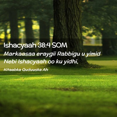 Picture 02 - Ishacyaah 38:4 SOM - Markaasaa eraygii Rabbigu u yimid Nebi Ishacyaah - Bible Verse Picture