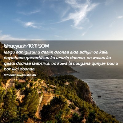 Picture 02 - Ishacyaah 40:11 SOM - Isagu adhigiisuu u daajin doonaa sida adhijir oo - Bible Verse Picture