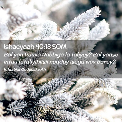 Picture 02 - Ishacyaah 40:13 SOM - Bal yaa Ruuxa Rabbiga la taliyey? Bal yaase intuu - Bible Verse Picture