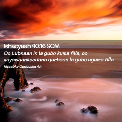 Picture 02 - Ishacyaah 40:16 SOM - Oo Lubnaan in la gubo kuma filla, oo - Bible Verse Picture