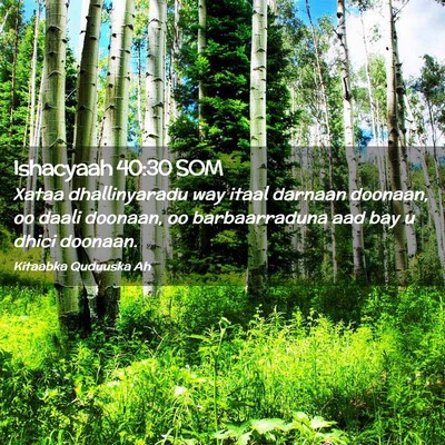 Picture 02 - Ishacyaah 40:30 SOM - Xataa dhallinyaradu way itaal darnaan doonaan, oo - Bible Verse Picture