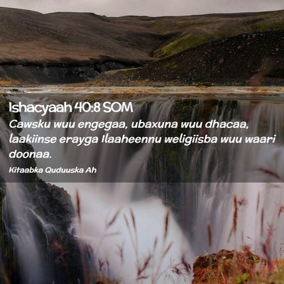 Picture 02 - Ishacyaah 40:8 SOM - Cawsku wuu engegaa, ubaxuna wuu dhacaa, laakiinse - Bible Verse Picture
