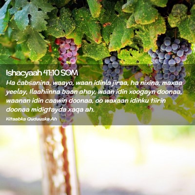 Picture 02 - Ishacyaah 41:10 SOM - Ha cabsanina, waayo, waan idinla jiraa, ha - Bible Verse Picture