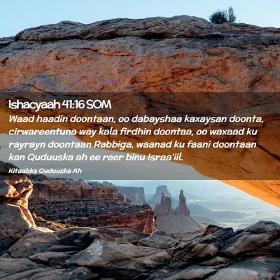 Picture 02 - Ishacyaah 41:16 SOM - Waad haadin doontaan, oo dabayshaa kaxaysan - Bible Verse Picture