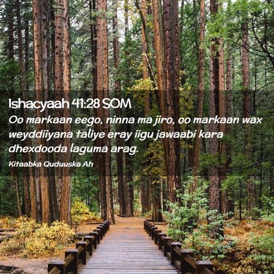 Picture 02 - Ishacyaah 41:28 SOM - Oo markaan eego, ninna ma jiro, oo markaan wax - Bible Verse Picture