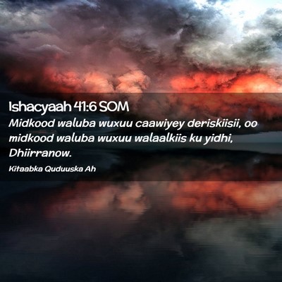Picture 02 - Ishacyaah 41:6 SOM - Midkood waluba wuxuu caawiyey deriskiisii, oo - Bible Verse Picture