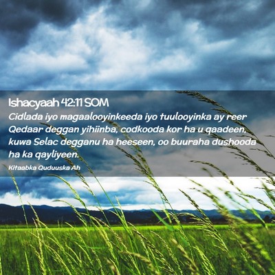 Picture 02 - Ishacyaah 42:11 SOM - Cidlada iyo magaalooyinkeeda iyo tuulooyinka ay - Bible Verse Picture