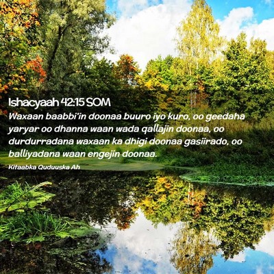 Picture 02 - Ishacyaah 42:15 SOM - Waxaan baabbi'in doonaa buuro iyo kuro, oo - Bible Verse Picture