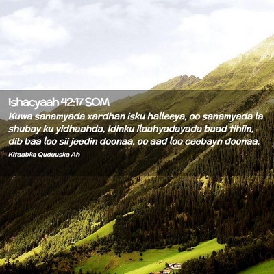 Picture 02 - Ishacyaah 42:17 SOM - Kuwa sanamyada xardhan isku halleeya, oo - Bible Verse Picture