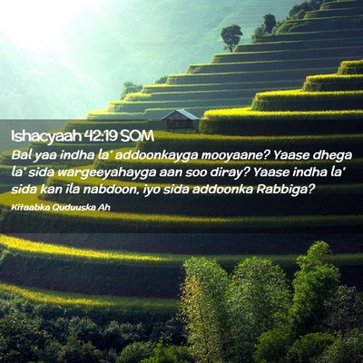 Picture 02 - Ishacyaah 42:19 SOM - Bal yaa indha la' addoonkayga mooyaane? Yaase - Bible Verse Picture